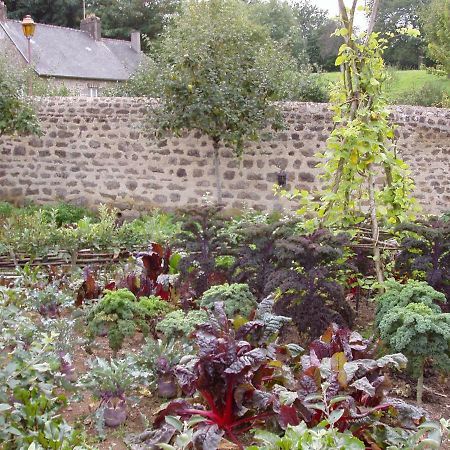 Chambres d'Hotes la Belle Taille Lassay-les-Châteaux Extérieur photo