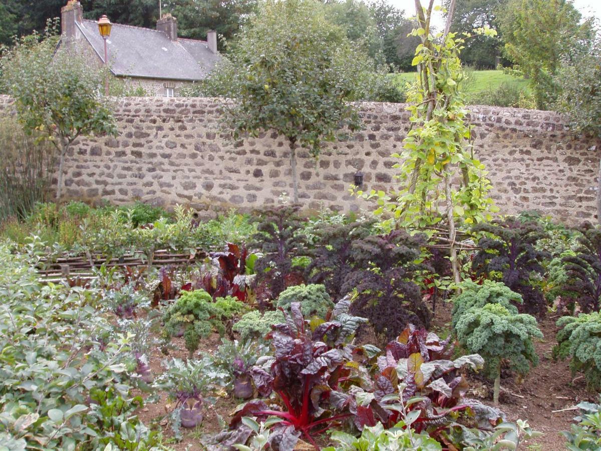 Chambres d'Hotes la Belle Taille Lassay-les-Châteaux Extérieur photo